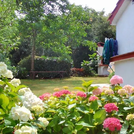 With Parking Space Njivice, Krk - 14932 Apartment *