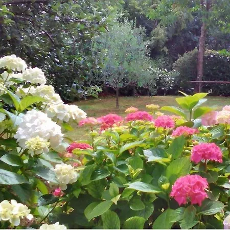 With Parking Space Njivice, Krk - 14932 *